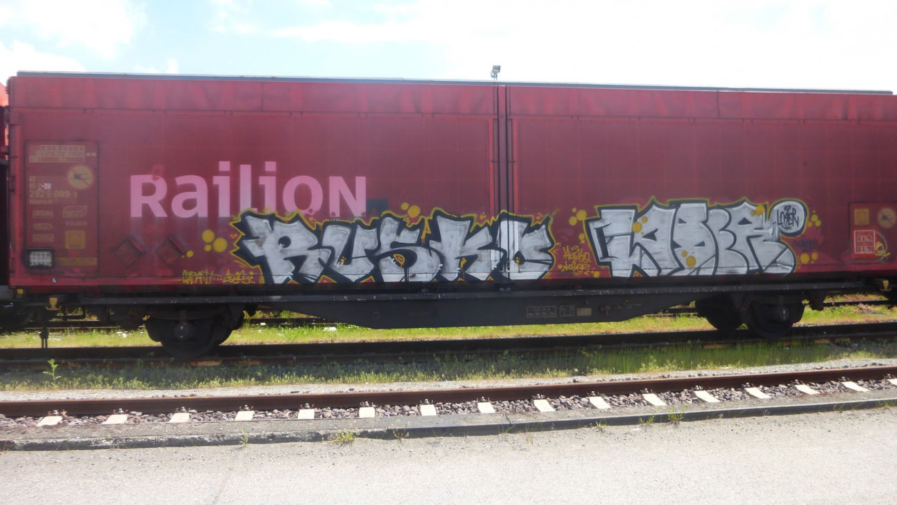 Graffiti Train in Braunschweig - Photo by Candyflip - rusko, loser, braunschweig