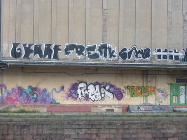 Graffiti Bombing in Magdeburg - Photo by Candyflip - gyrat, freak, kaso
