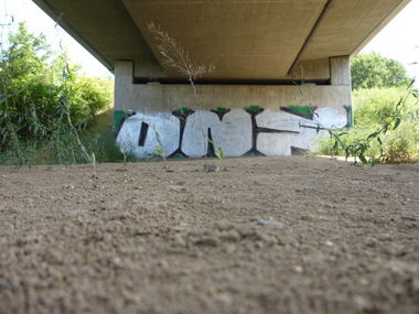 Graffiti Bombing in Königslutter - Photo by Candyflip - ons, braunschweig