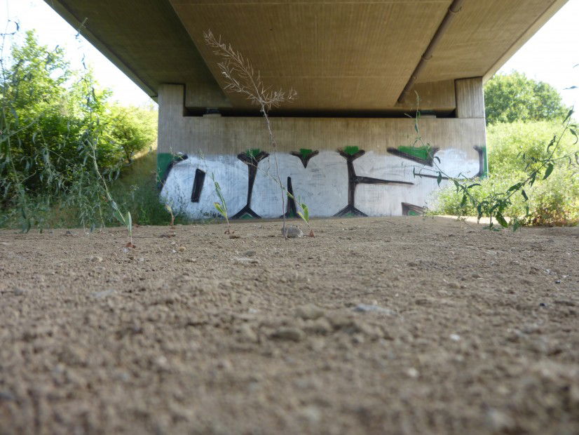 Graffiti Bombing in Königslutter - Photo by Candyflip - ons, braunschweig