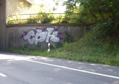 Photo #26375 by LexiLucky