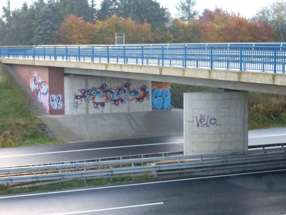 Graffiti Bombing in Cremlingen - Photo by Candyflip - velo, pedro, ce