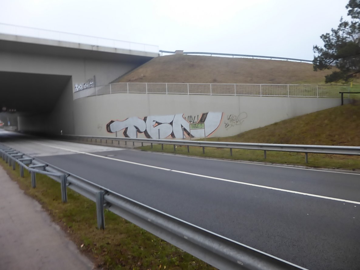 Graffiti Bombing in Gifhorn - Photo by Candyflip - ten