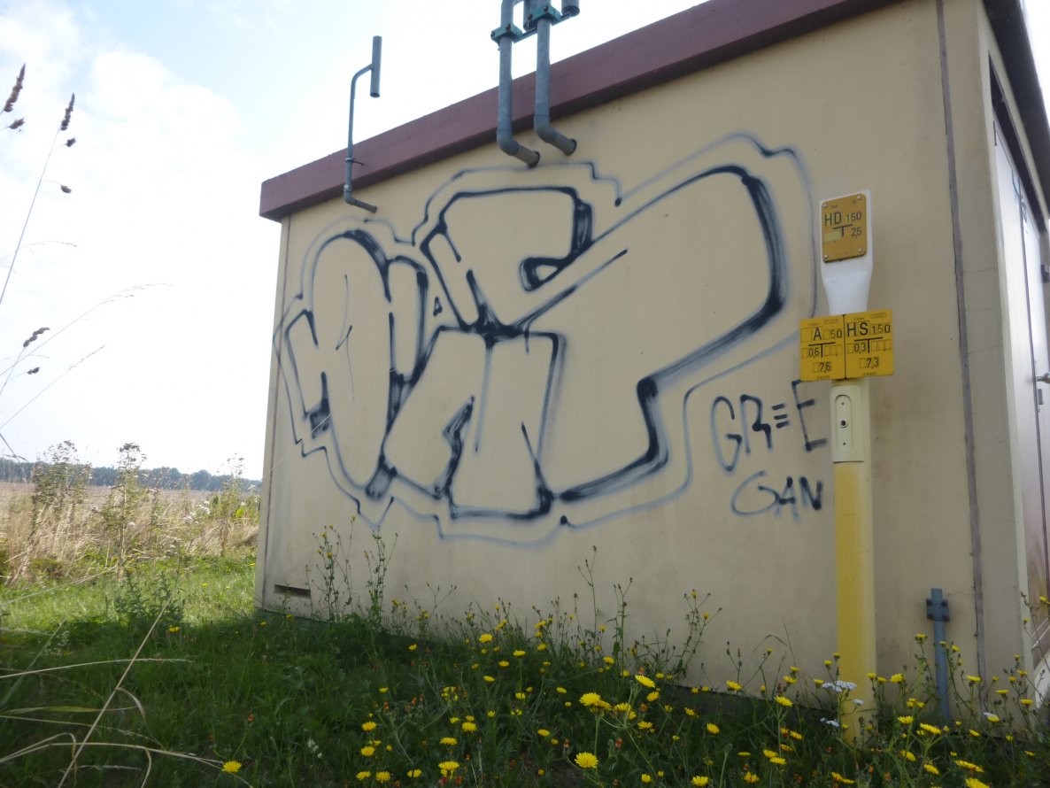 Graffiti Bombing in Königslutter - Photo by Candyflip - ons