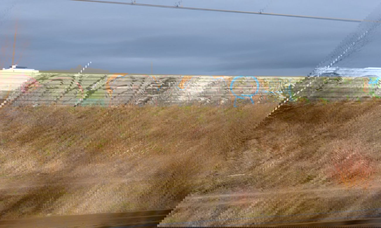 Graffiti Bombing in Cremlingen - Photo by Candyflip - ains, braunschweig