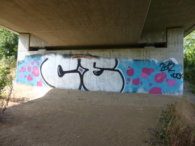 Graffiti Bombing in Königslutter - Photo by Candyflip - ce