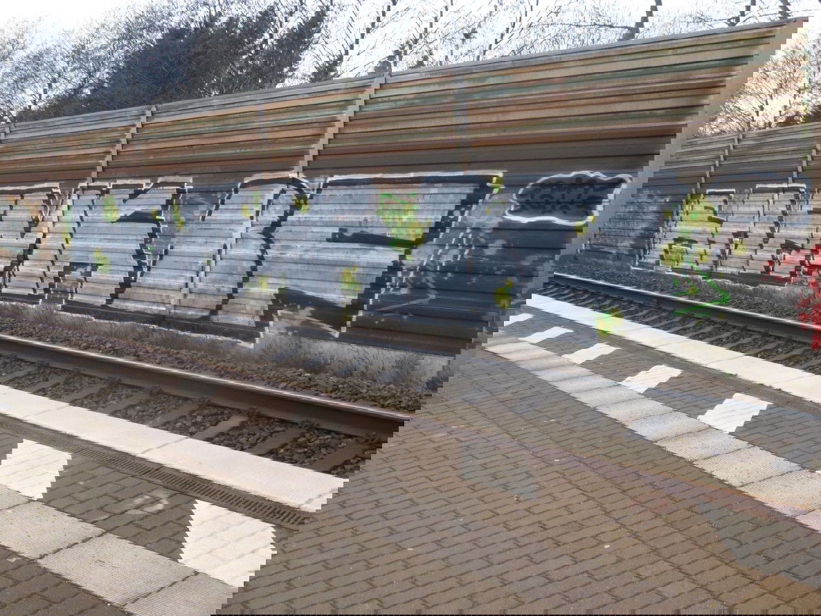 Graffiti Bombing in Cremlingen - Photo by Candyflip - ra, fmk, bf