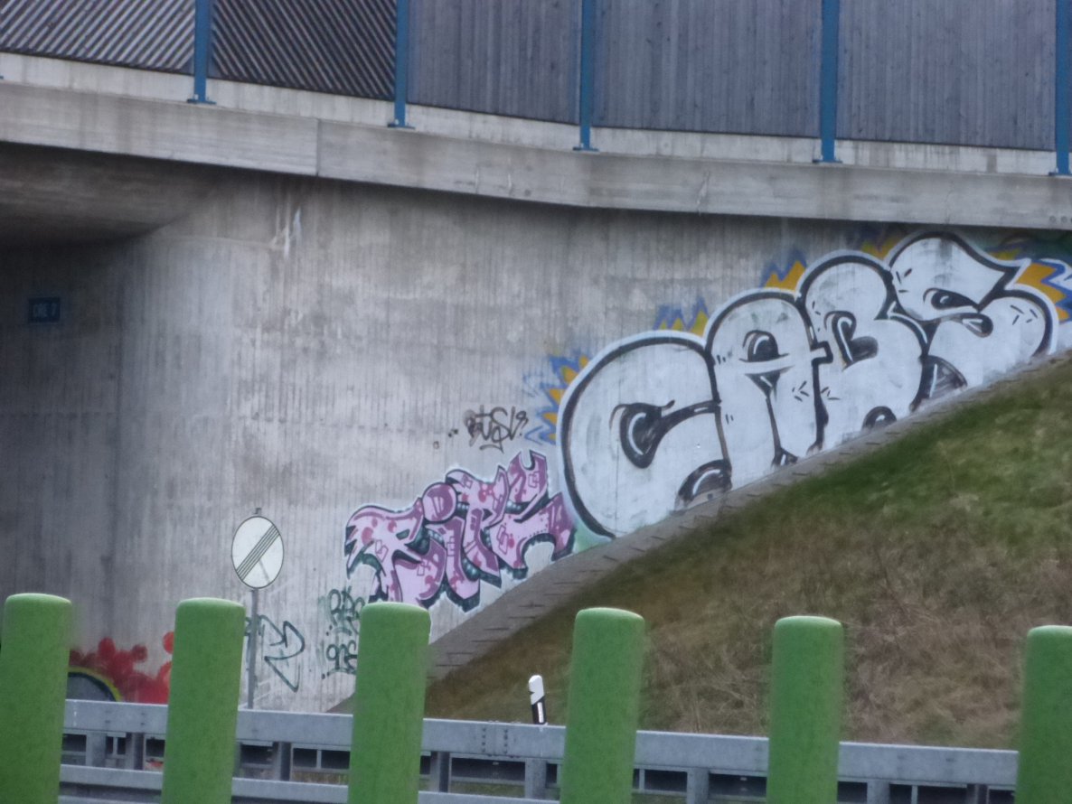 Graffiti Bombing in Cremlingen - Photo by Candyflip - cabs, btsv, ribs