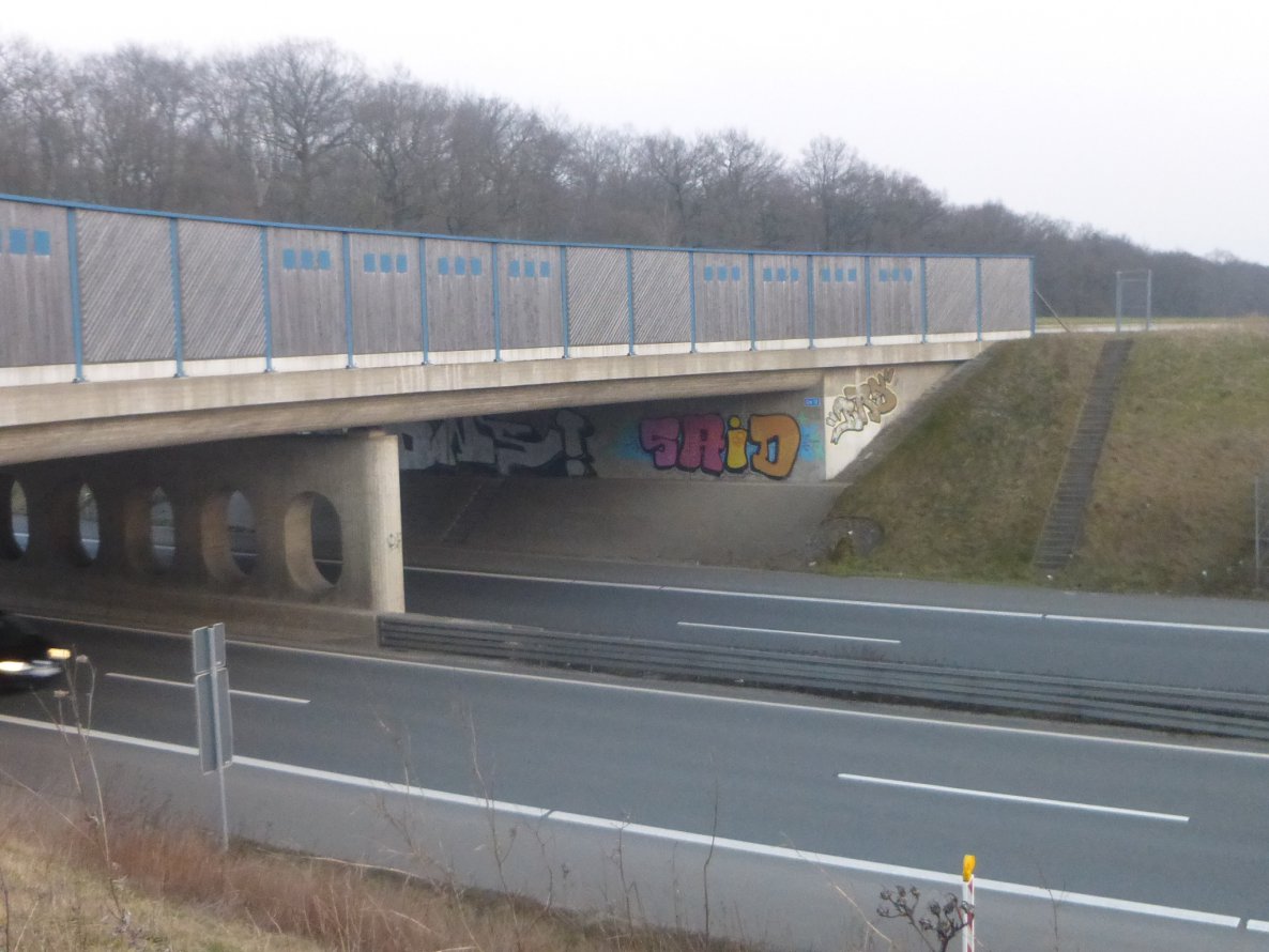 Graffiti Wall in Cremlingen - Photo by Candyflip - ons, said, drs