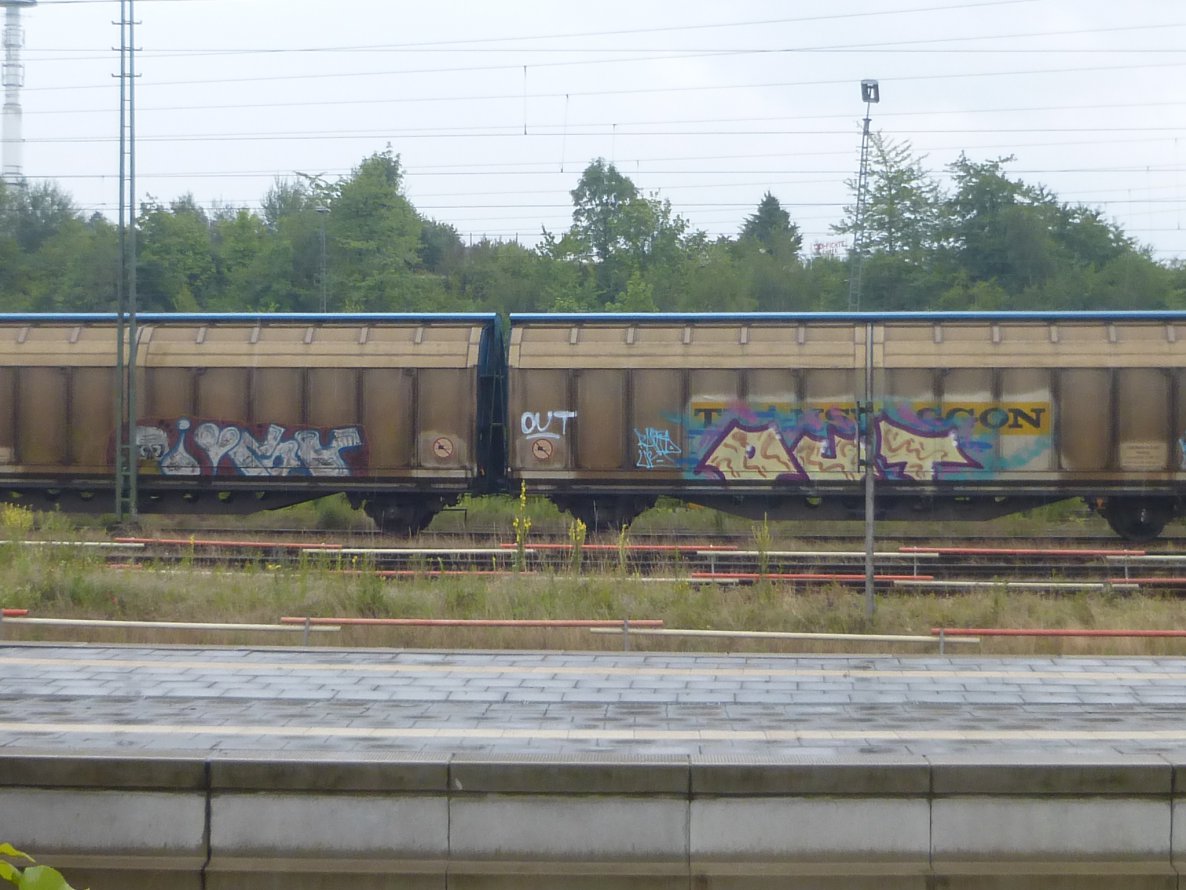 Graffiti Train - Photo by Candyflip - out