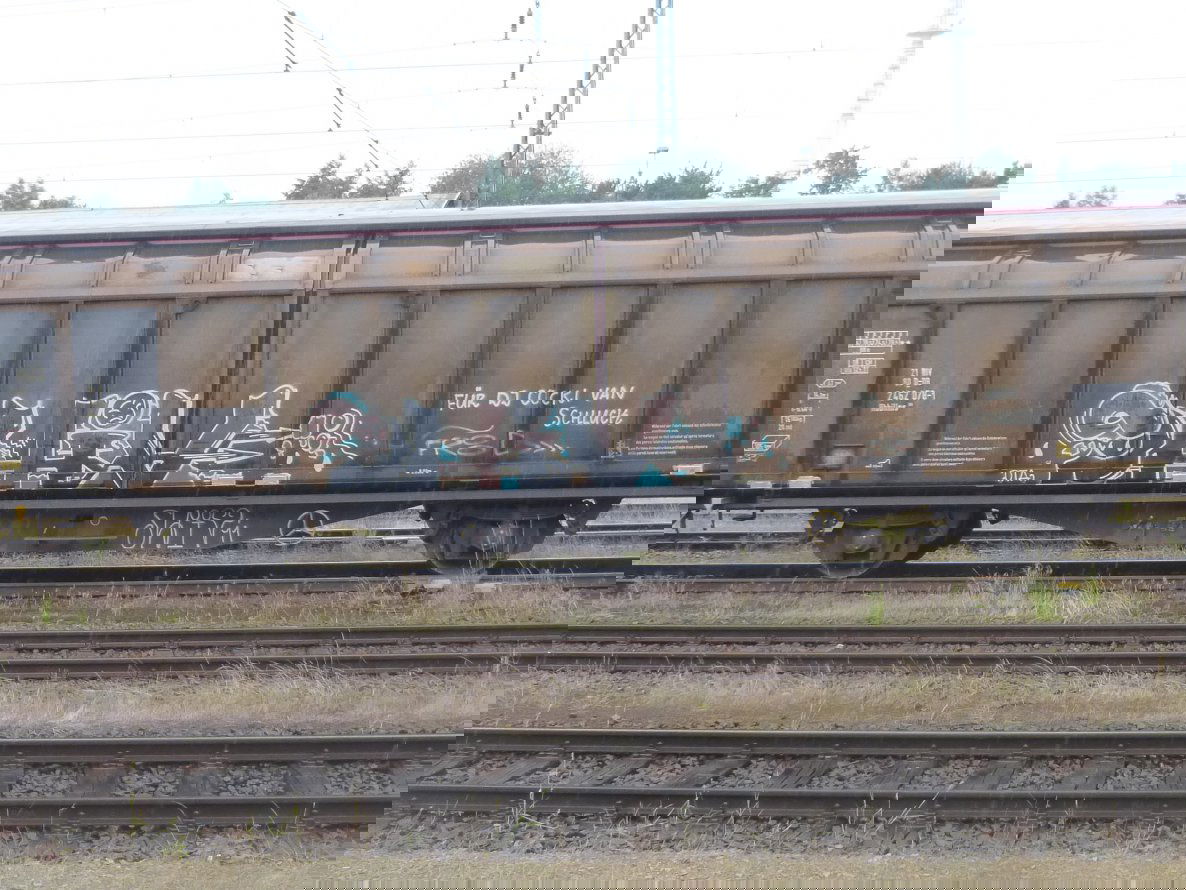 Graffiti Train in Brunswick - Photo by Candyflip - shiv, dta