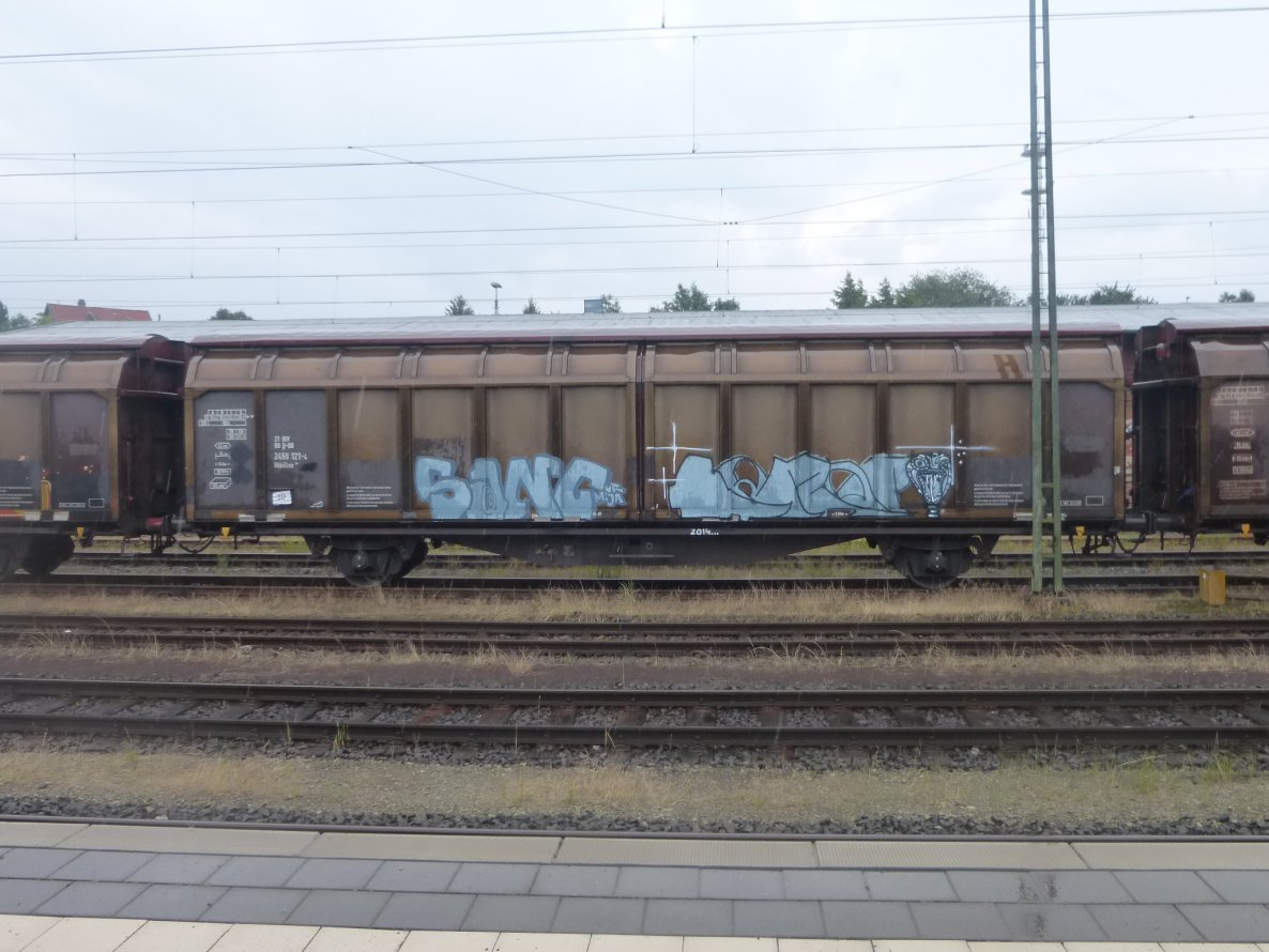 Graffiti Train - Photo by Candyflip