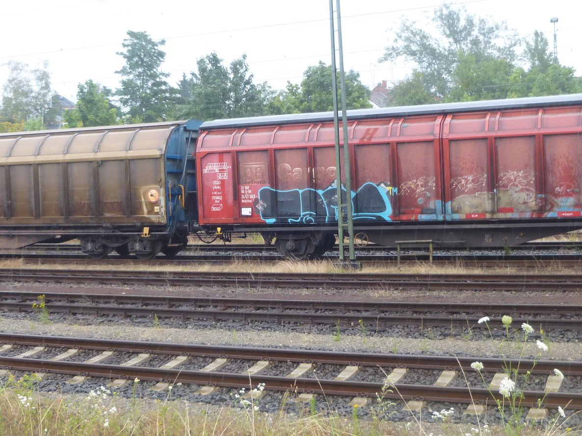 Graffiti Train - Photo by Candyflip - taps, moses, topsprayer