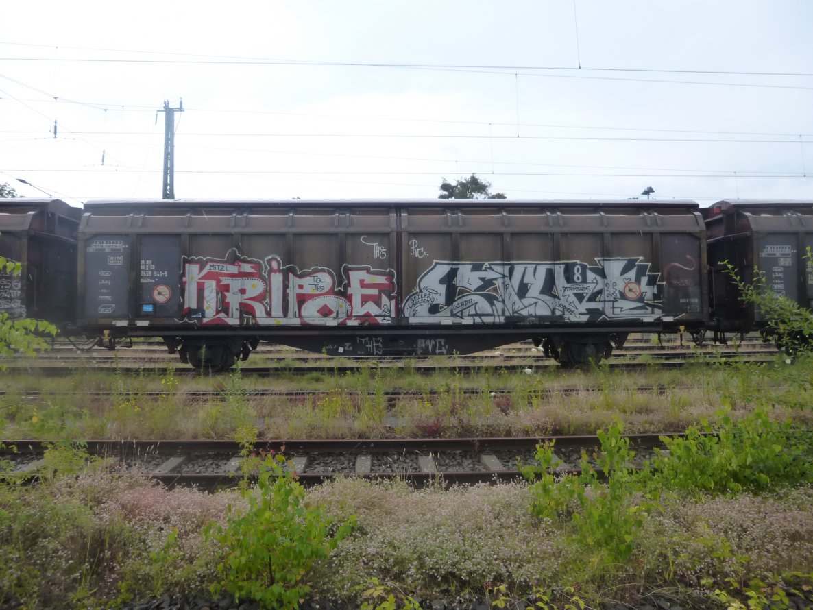 Graffiti Train - Photo by Candyflip - kripoe, exot