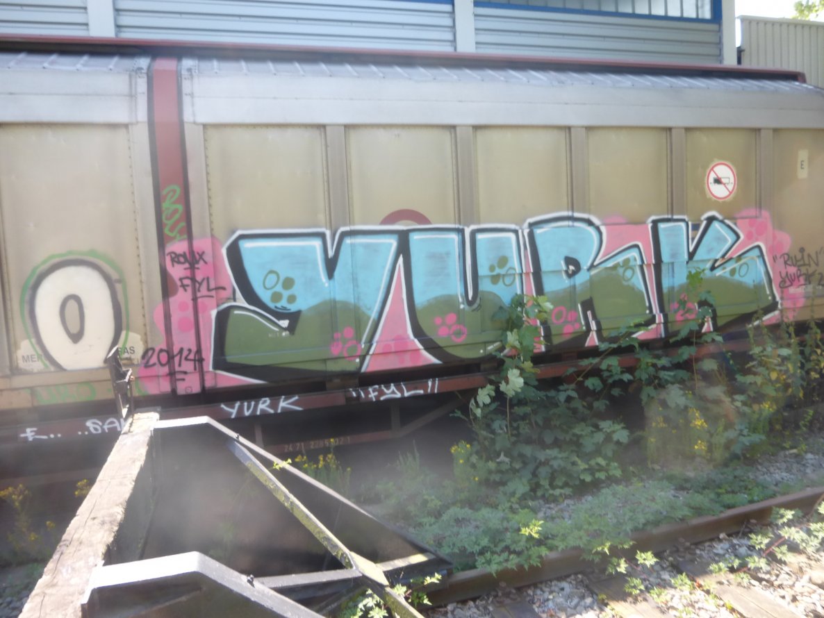 Graffiti Train in Brunswick - Photo by Candyflip - yurk