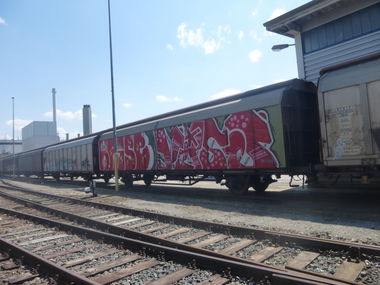 Graffiti Train in Brunswick - Photo by Candyflip - braunschweig
