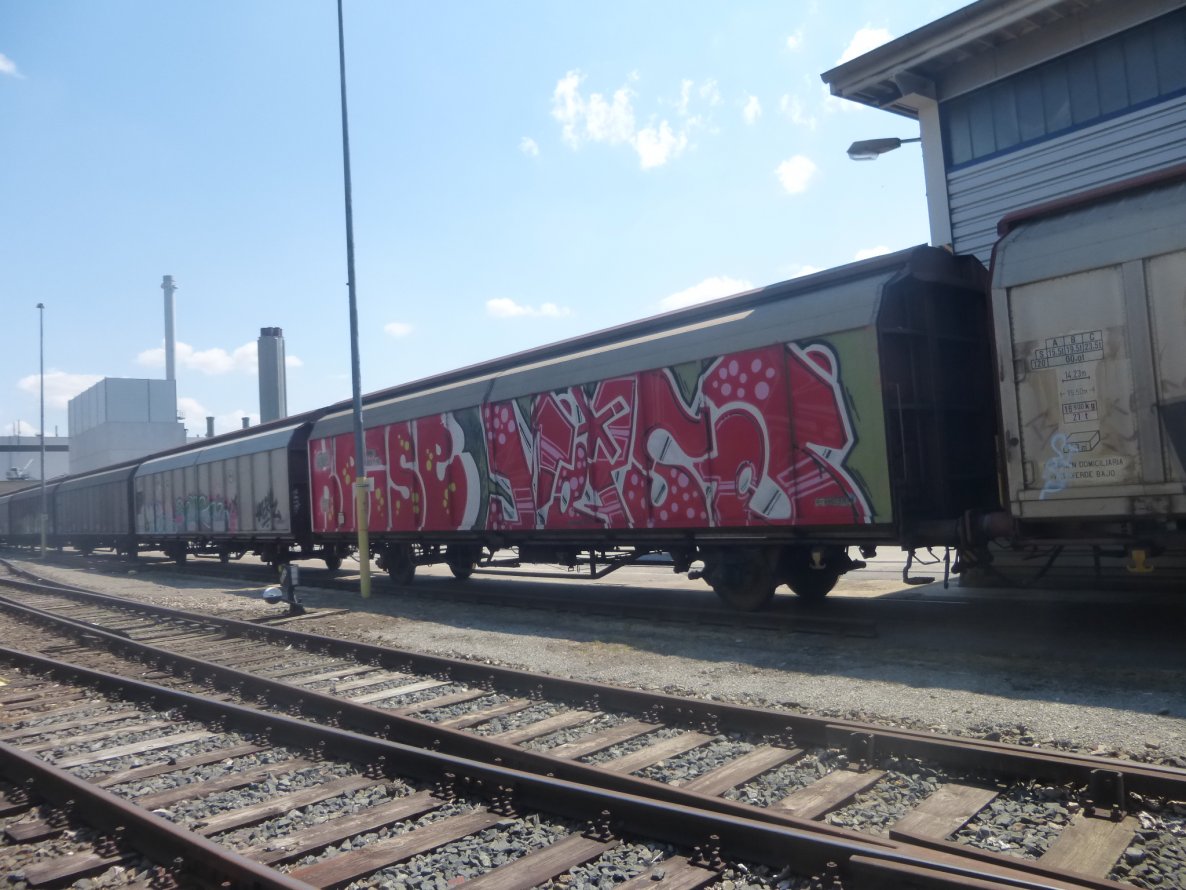Graffiti Train in Brunswick - Photo by Candyflip - braunschweig