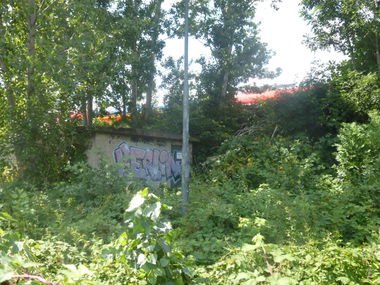 Graffiti Bombing in Brunswick - Photo by Candyflip - berlin, braunschweig