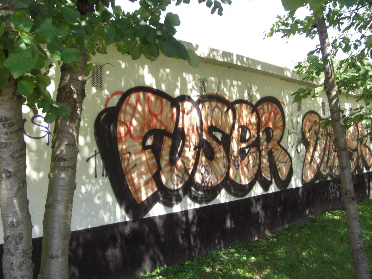 Graffiti Bombing in Magdeburg - Photo by Candyflip