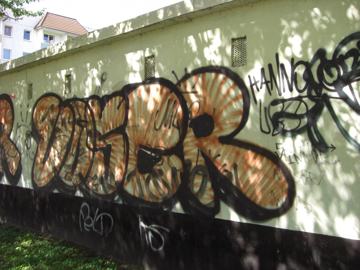 Graffiti Bombing in Magdeburg - Photo by Candyflip
