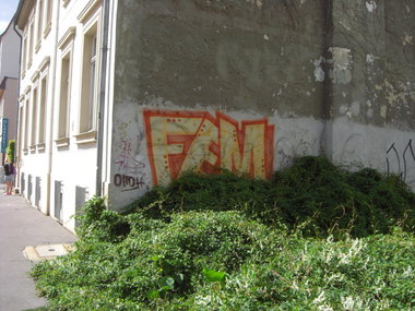 Graffiti Bombing in Magdeburg - Photo by Candyflip - fem, magdeburg