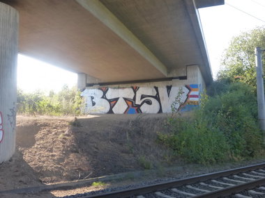 Graffiti Bombing - Photo by Candyflip - btsv