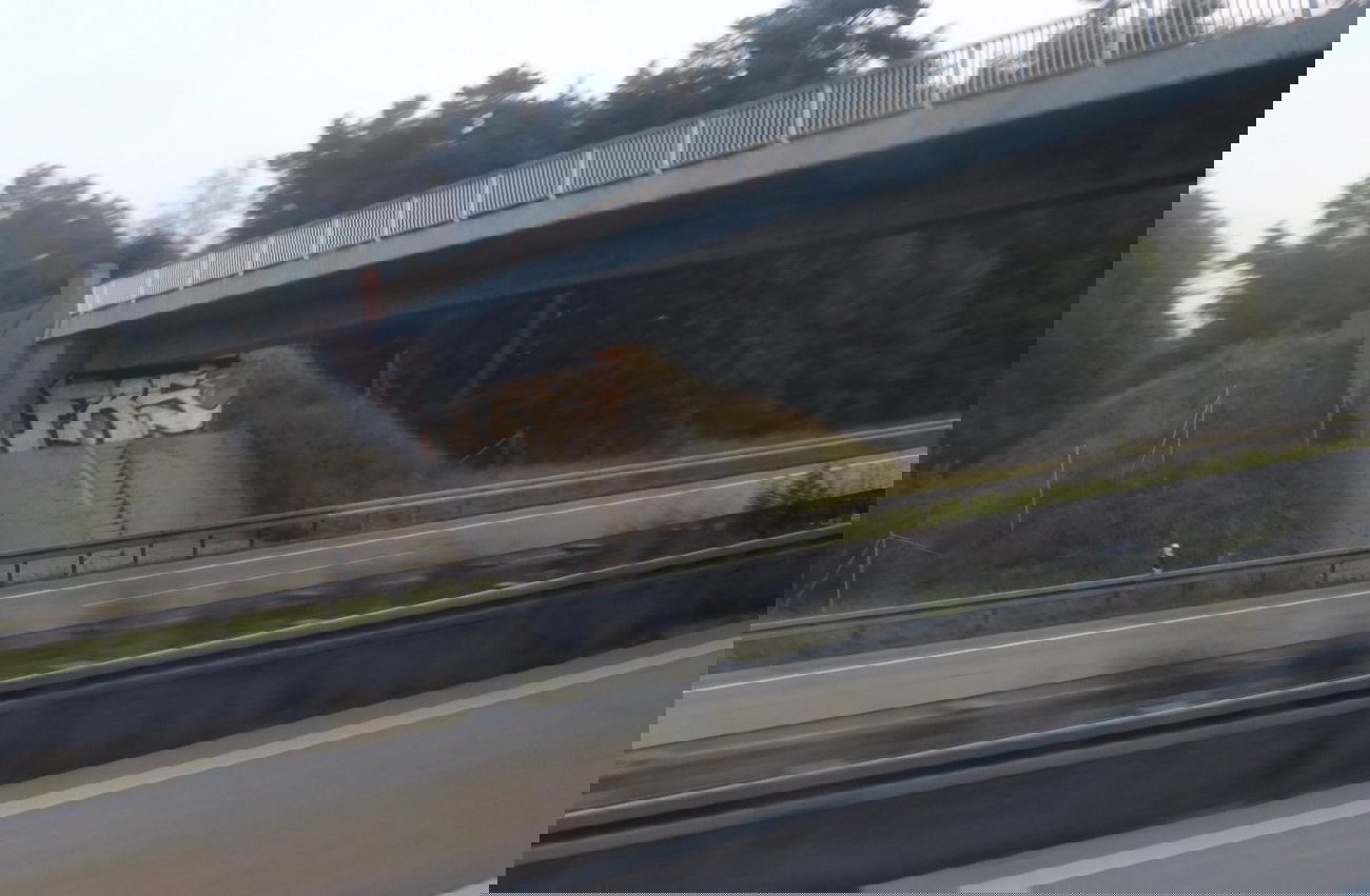 Graffiti Bombing - Photo by Candyflip - frs, a2