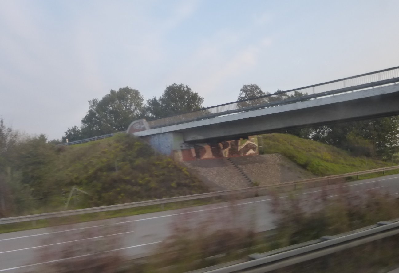 Graffiti Bombing - Photo by Candyflip - dpl, a2