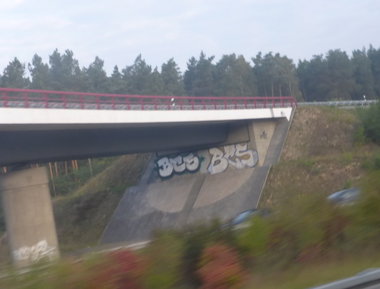 Graffiti Bombing - Photo by Candyflip - bcs