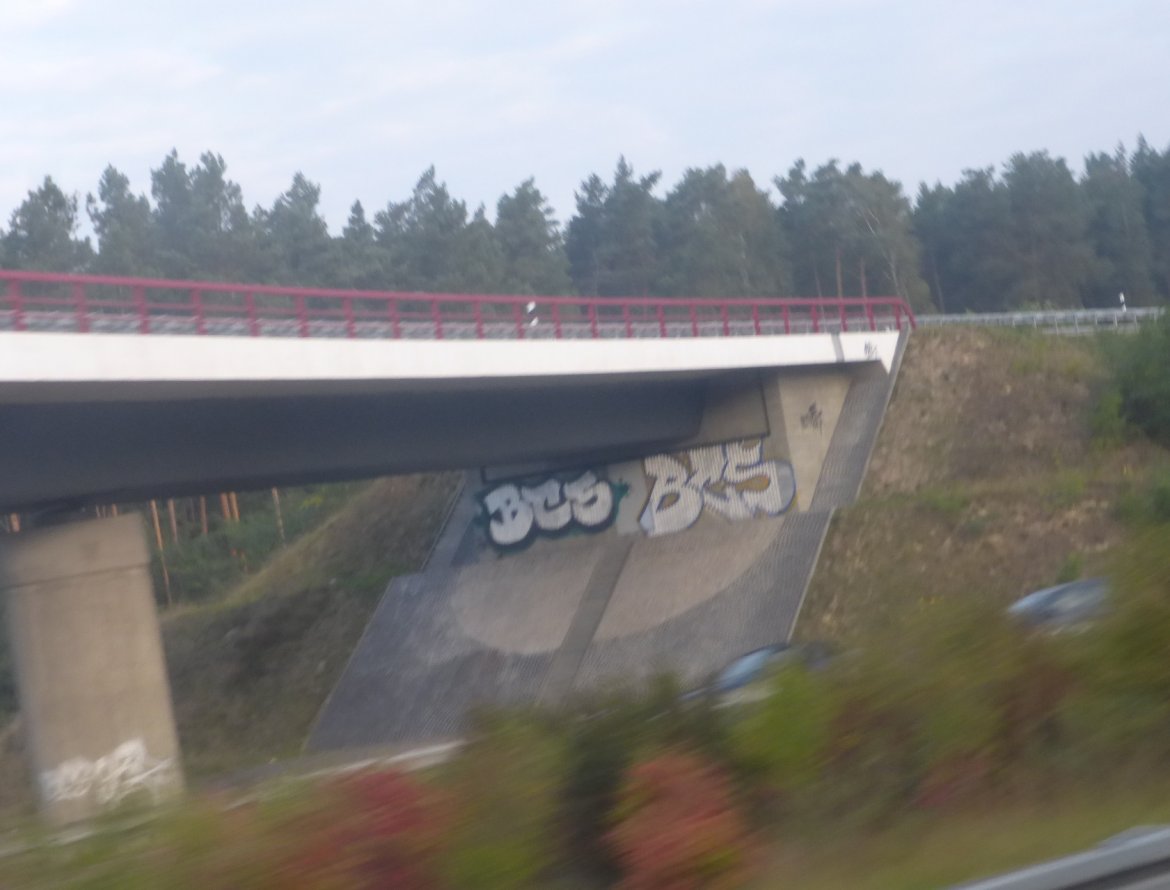 Graffiti Bombing - Photo by Candyflip - bcs