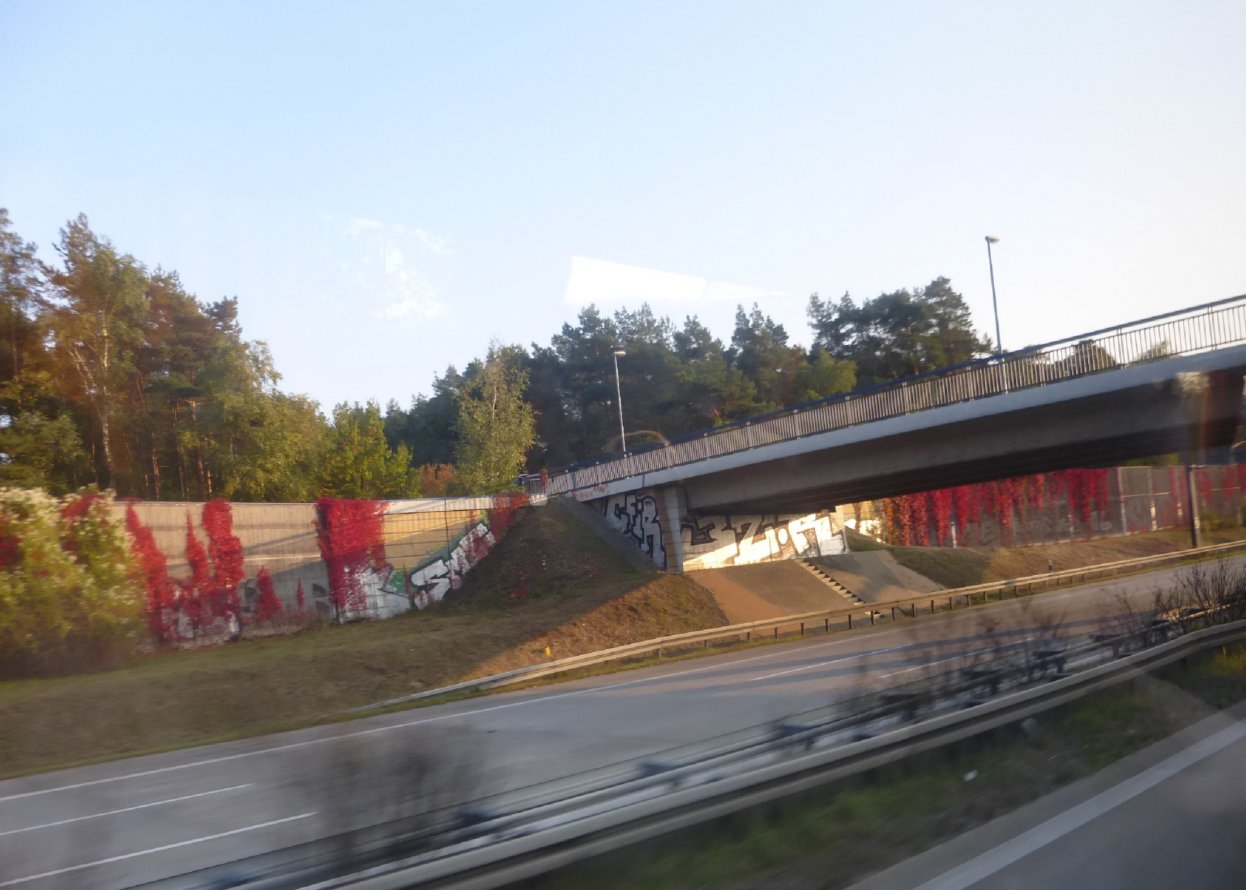 Graffiti Bombing in Berlin - Photo by Candyflip - 32, 32er, cfir