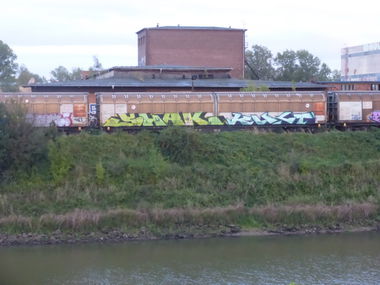 Graffiti Train in Magdeburg - Photo by Candyflip - freight, magdeburg, shak
