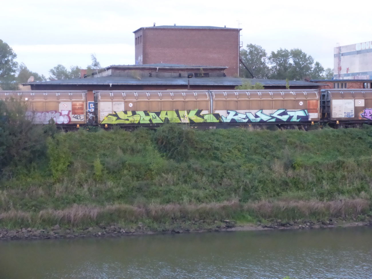 Graffiti Train in Magdeburg - Photo by Candyflip - freight, magdeburg, shak
