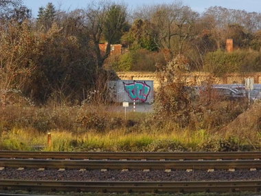 Graffiti Bombing in Magdeburg - Photo by Candyflip - oo, ohoh, magdeburg