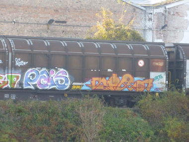 Graffiti Train in Magdeburg - Photo by Candyflip - sor, 24, 24er