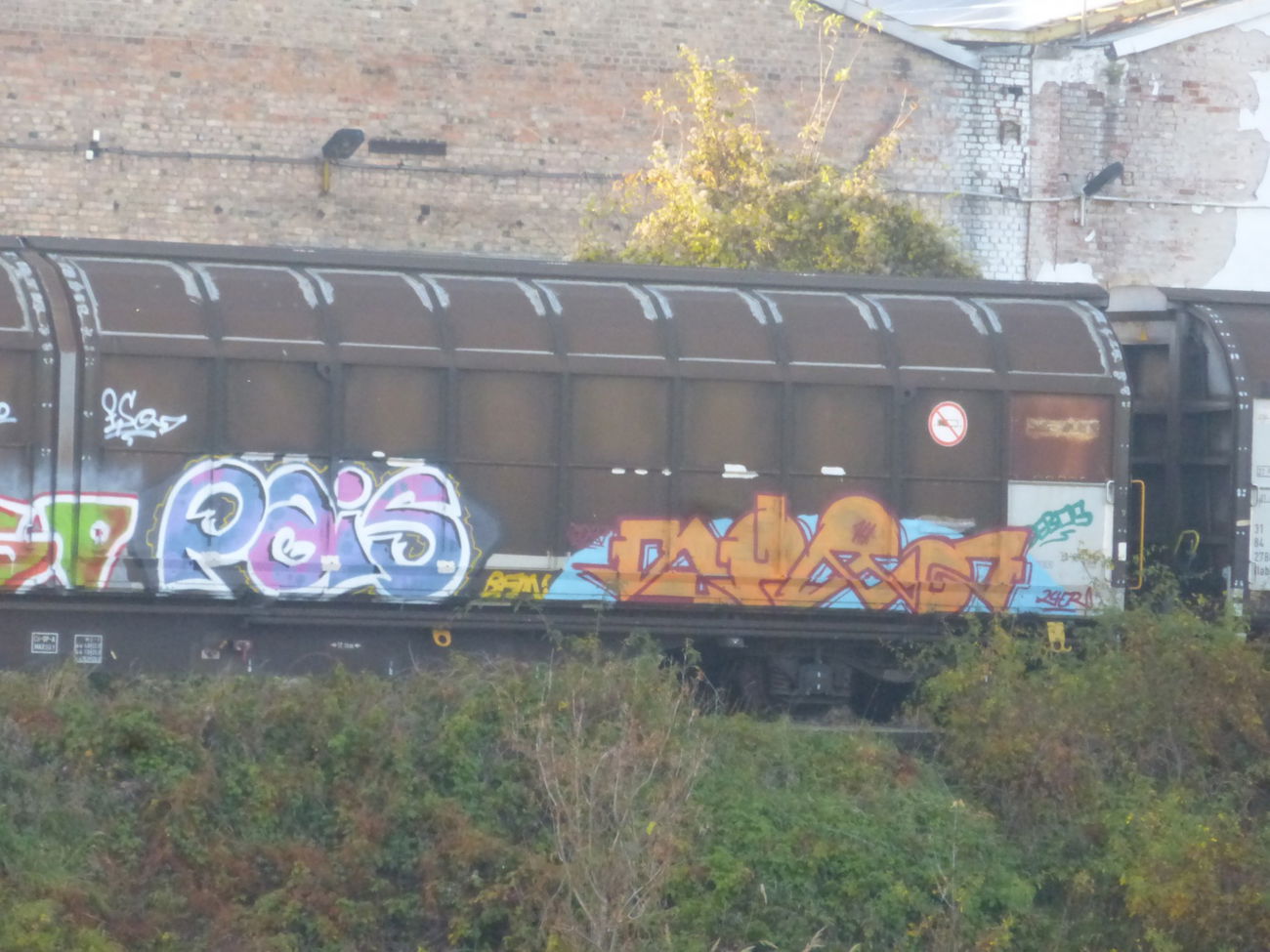Graffiti Train in Magdeburg - Photo by Candyflip - sor, 24, 24er