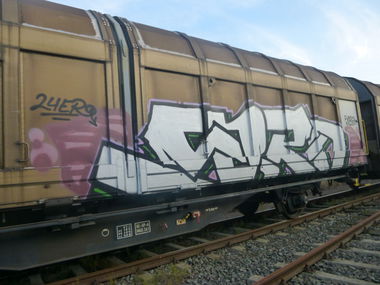 Graffiti Train in Magdeburg - Photo by Candyflip - sora, 24, 24er (2014)