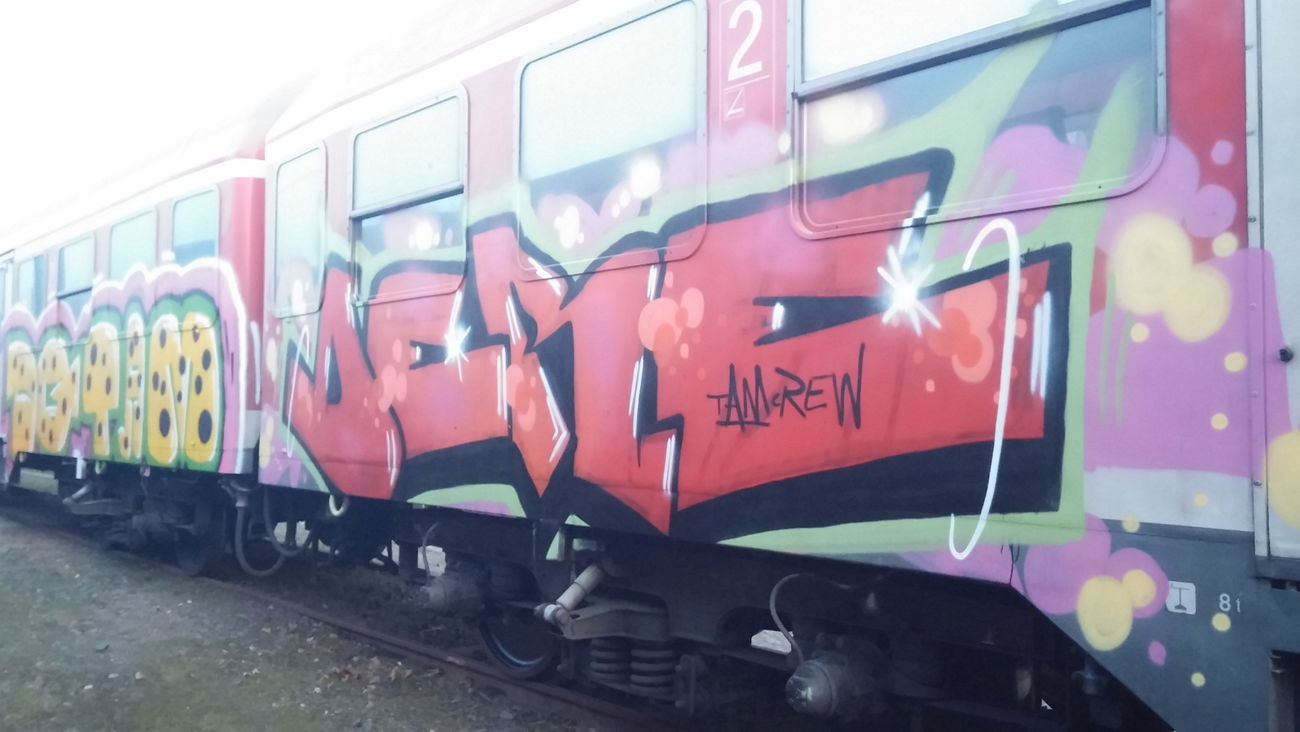 Graffiti Train - Photo by Candyflip - dere, tam, trasher (2015)