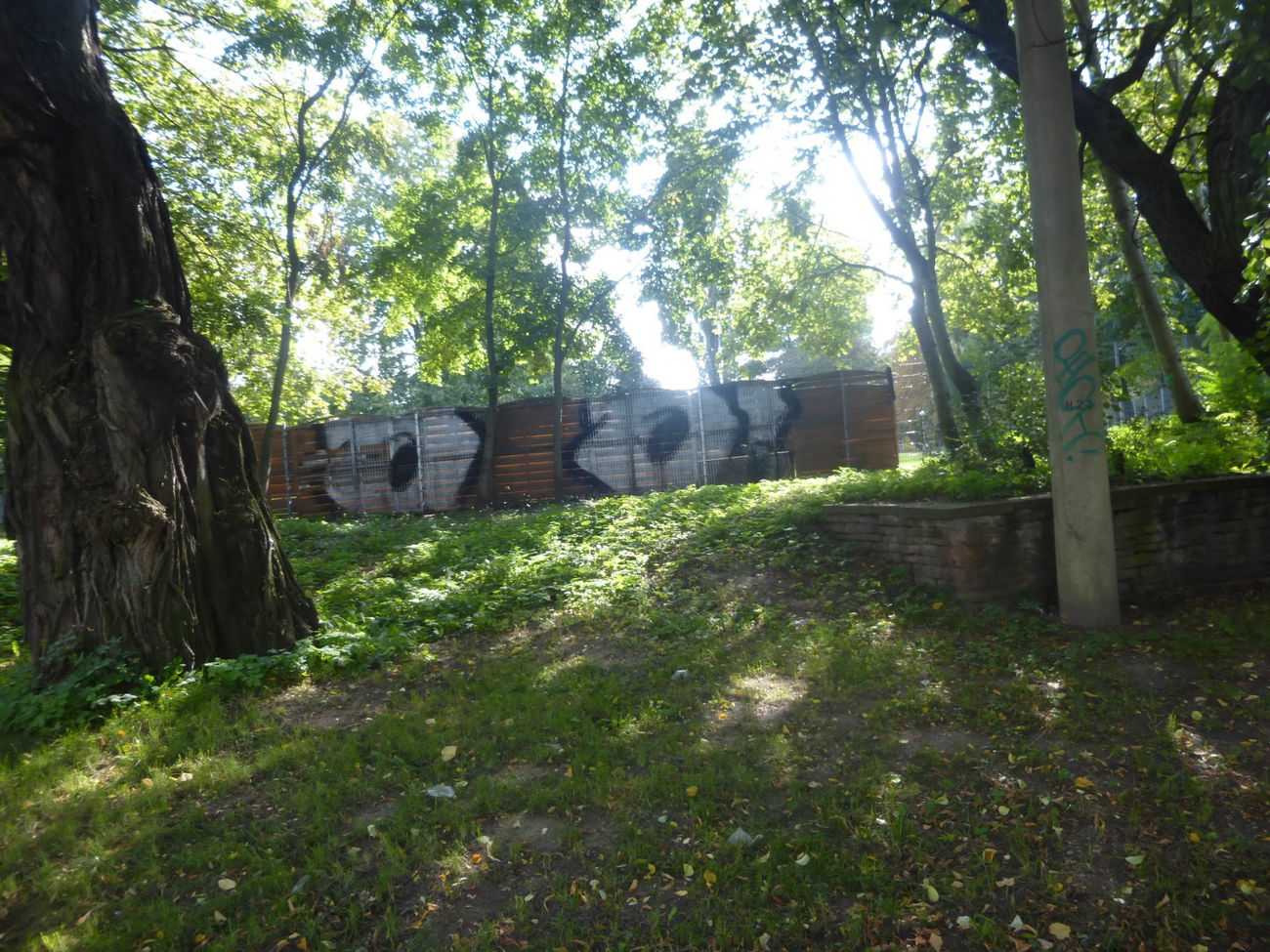 Graffiti Bombing in Magdeburg - Photo by Candyflip - oo, ohoh