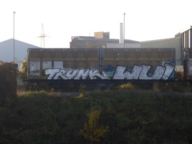 Graffiti Train in Magdeburg - Photo by Candyflip - runk, wu, wucrew