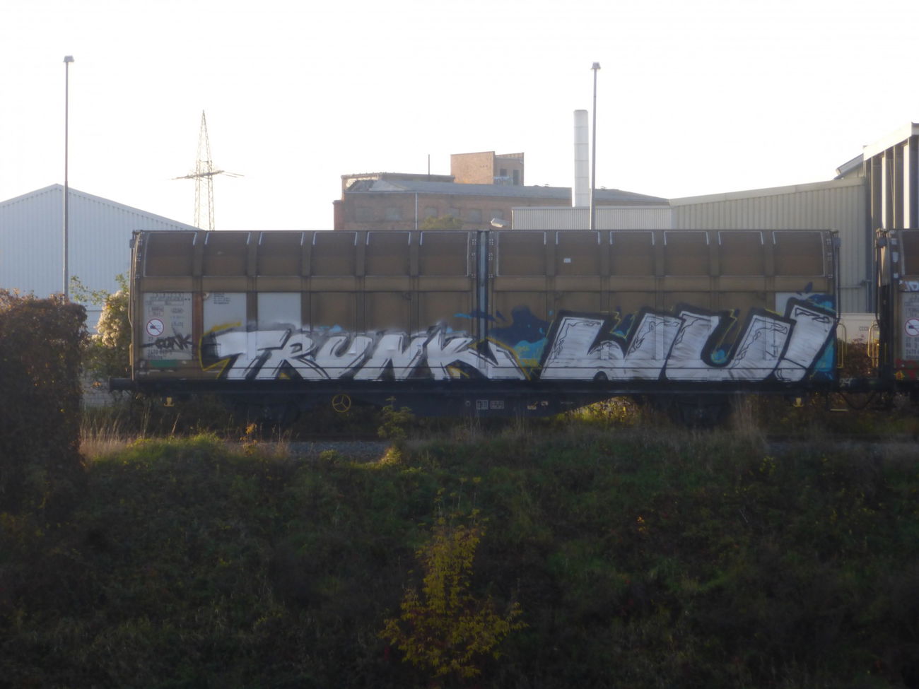 Graffiti Train in Magdeburg - Photo by Candyflip - runk, wu, wucrew