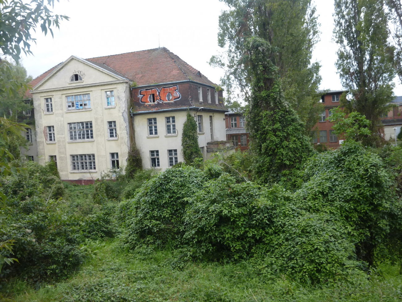 Graffiti Bombing in Magdeburg - Photo by Candyflip - oo, ohoh