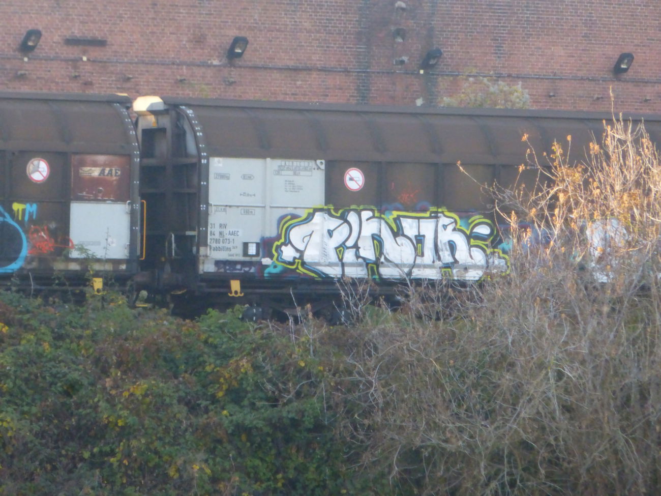 Graffiti Train in Magdeburg - Photo by Candyflip - pinor, magdeburg