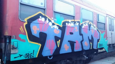 Graffiti Train - Photo by Candyflip - tam, ozee, trasher (2015)