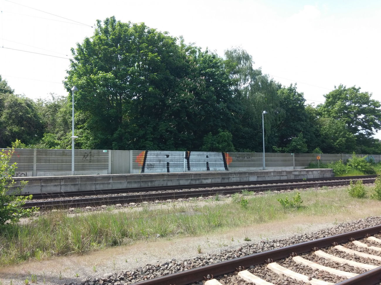 Graffiti Bombing in Deutschland - Photo by Candyflip - ra, rats, braunschweig (2015)