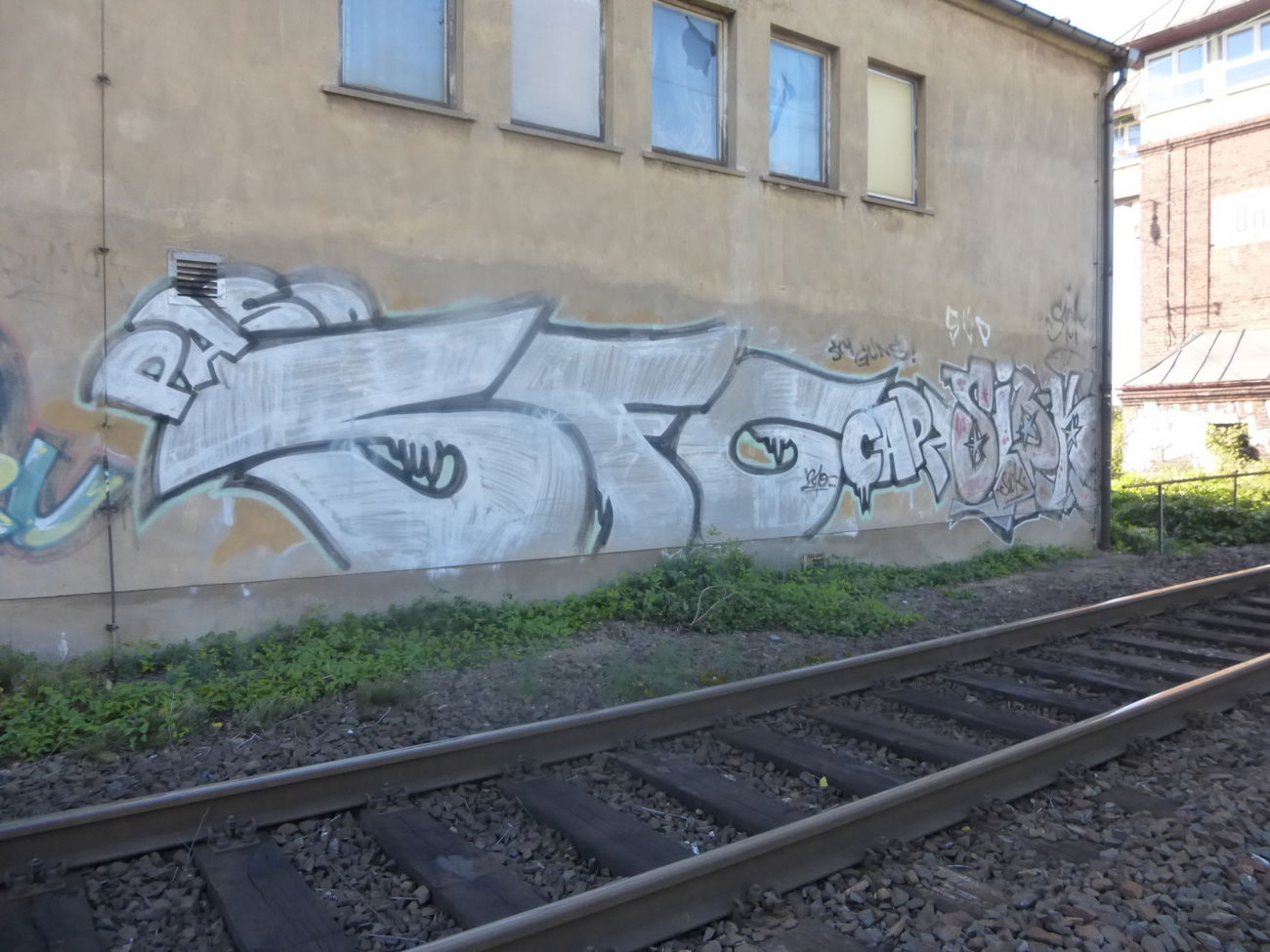 Graffiti Bombing in Magdeburg - Photo by Candyflip - sfo, basd, capz