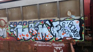 Graffiti Train in Braunschweig - Photo by Candyflip - hamf, braunschweig