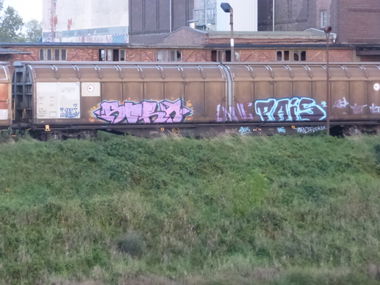Graffiti Train in Magdeburg - Photo by Candyflip - freight, magdeburg, sora