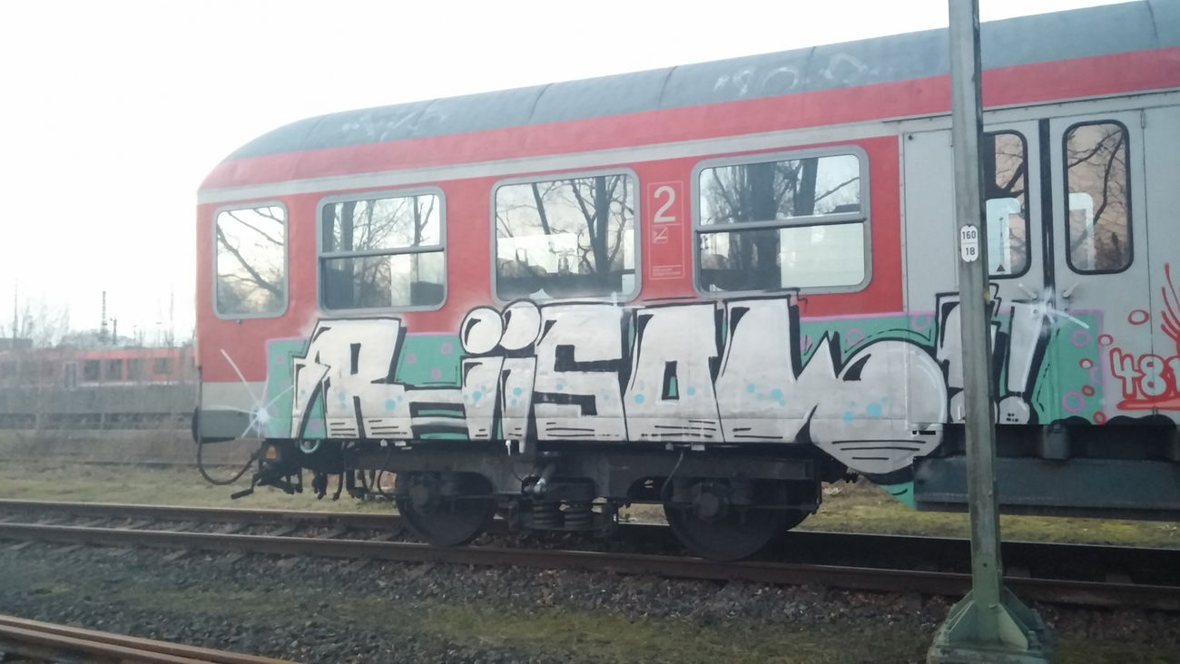 Graffiti Train - Photo by Candyflip - risol, trasher, braunschweig (2015)