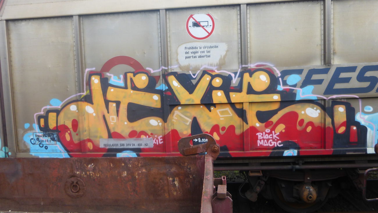 Graffiti Train in Braunschweig - Photo by Candyflip - ntxie, braunschweig